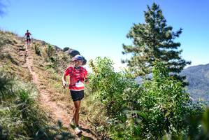 BIB: 
                            <button type="button" onclick="openModal(26601743)" class="btn btn-primary btn-sm float-right btn-popup" data-toggle="modal" data-target=".modal-high-quality">
                        <i class="fas fa-shopping-cart"></i> Add to Cart
                    </button>
                                            <button type="button" onclick="isThisMe(26601743, true)" class="btn btn-success btn-sm float-right btn-popup btn-isme hidden" data-toggle="tooltip" data-placement="bottom" title="นี่คือรูปของคุณใช่ไหม คลิกที่นี่เพื่อเอาเข้าอัลบั้ม">
                        <i class="fas fa-plus"></i> Add to album
                    </button>
                    <button type="button" onclick="isThisMe(26601743, false)" class="btn btn-warning btn-sm float-right btn-popup btn-isnotme hidden">
                        <i class="fas fa-ban"></i> Remove from album
                    </button>